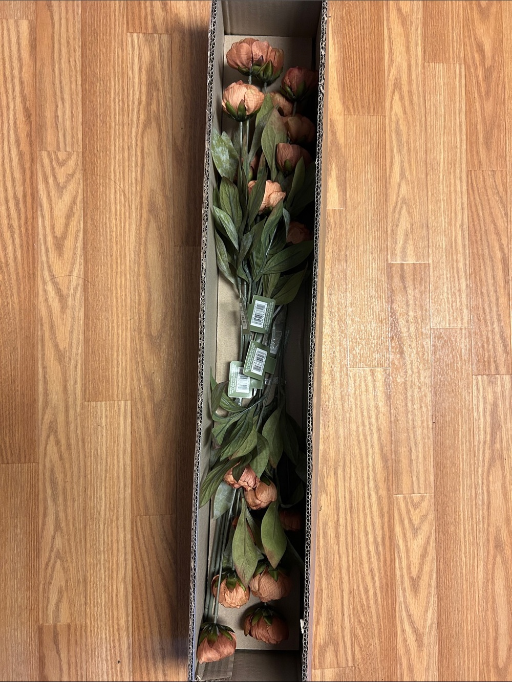 5 NWT Brown Michael’s Ashland Peony Stems
